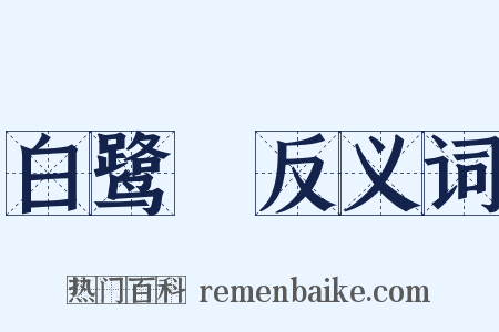 白鹭缞反义词是什么意思的图片